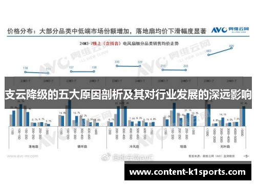 支云降级的五大原因剖析及其对行业发展的深远影响
