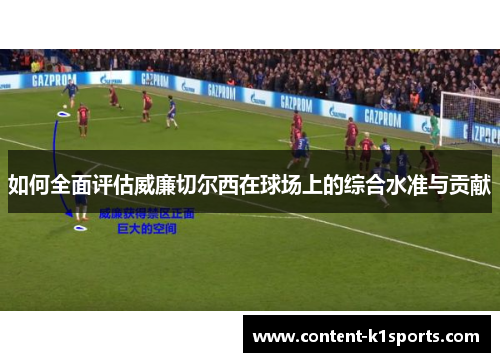 如何全面评估威廉切尔西在球场上的综合水准与贡献