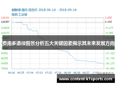 费南多退役前景分析五大关键因素揭示其未来发展方向