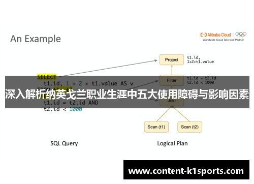 深入解析纳英戈兰职业生涯中五大使用障碍与影响因素