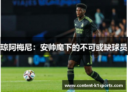 琼阿梅尼：安帅麾下的不可或缺球员