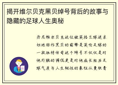 揭开维尔贝克黑贝绰号背后的故事与隐藏的足球人生奥秘